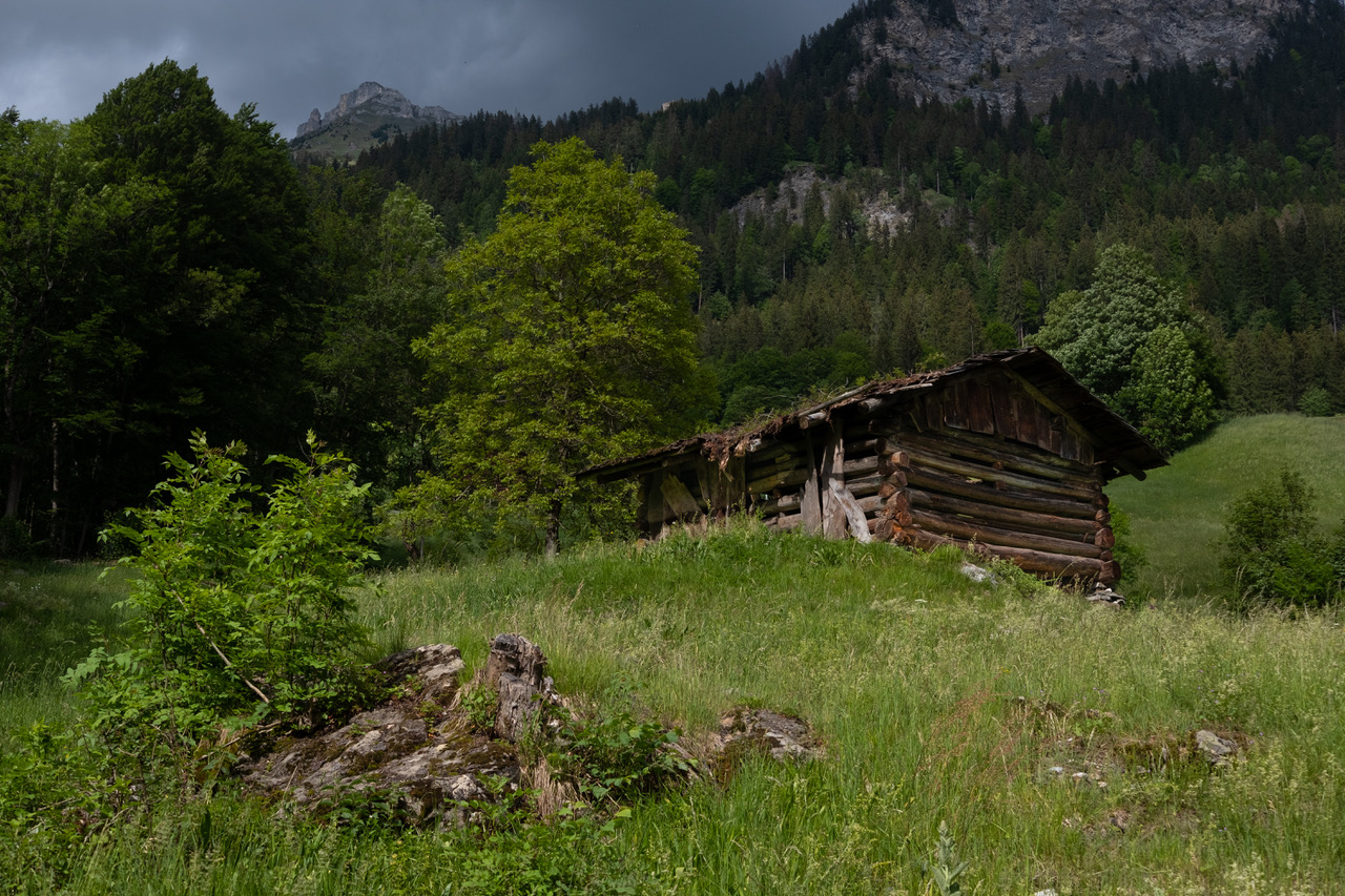Die Hütte über dem Aujiweg bei Saas im Prättigau.