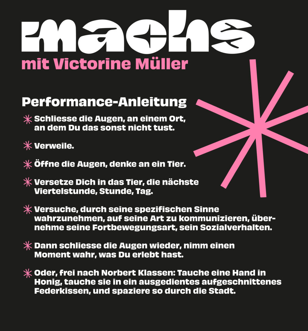 performance-anleitung-machs-v-mueller