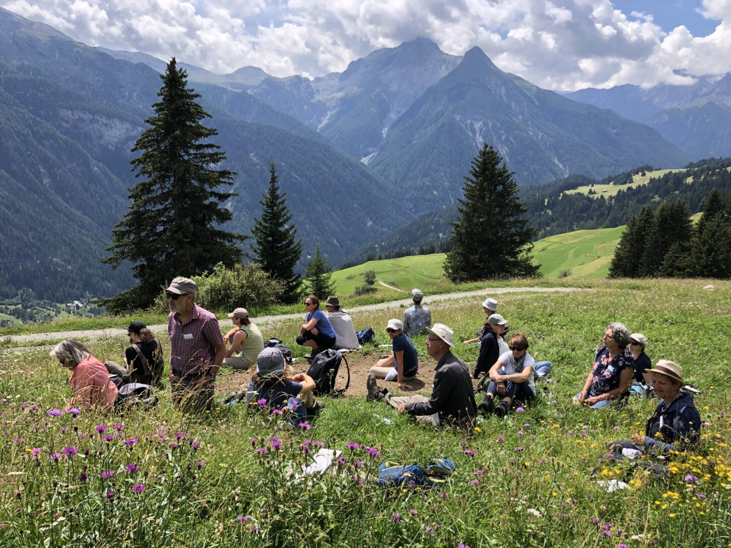 12-0-immer-der-nase-nach-1-somalgors74